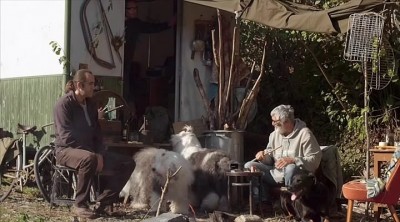 Теория тигра