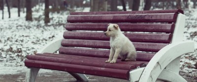 Счастье – это...