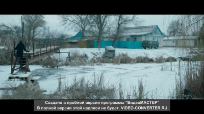 Чайки