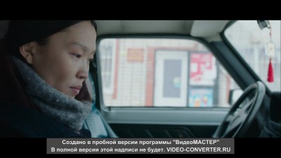 Чайки
