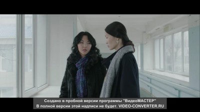 Чайки