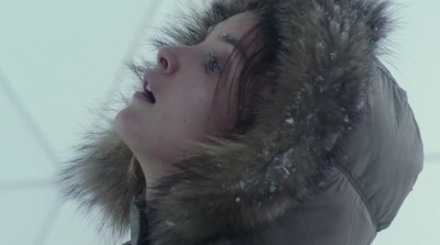 Любовь и пингвины