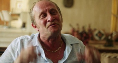 Полоски зебры