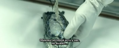 Конечная точка
